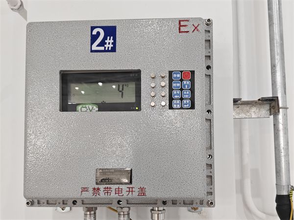 廣西煉化危廢防爆平臺秤